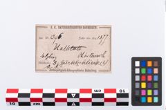Etikett zu Bronzeziergehänge (NHMW-PRAE-001396)